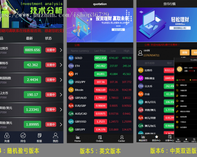 点击放大 【完美二开运营版】金融理财投资理财外汇行情分析股票交易平台WP系统完美K线